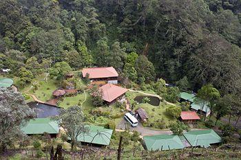 Trogon Lodge San Gerardo de Dota