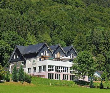 Waldhotel Schinkenwirt Olsberg