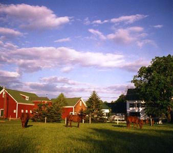 Farm by the River Bed and Breakfast with Stables