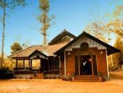 Wild Cat Ranch