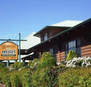 Tree Top Walk Motel