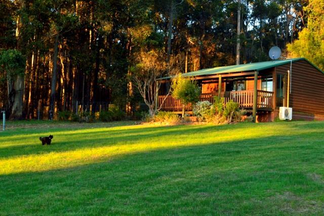 Diamond Forest Cottages Farmstay