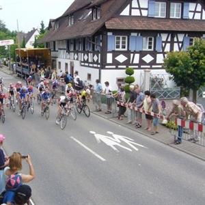 Gasthaus zum Loewen March