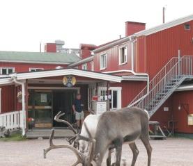 STF Grovelsjon Fjallstation