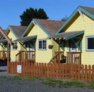 Seaview Motel & Cottages