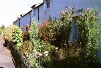 The Cottage Bed and Breakfast Drymen
