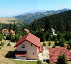 Vila Stefana Paltinis