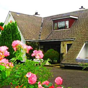 Rosie's House