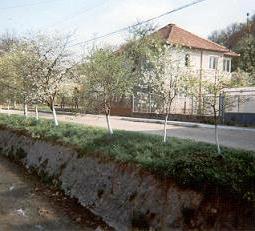 Nasaud Hostel