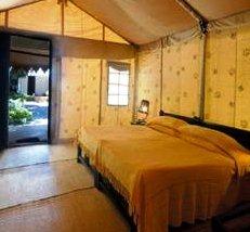 Lion Safari Camp Junagadh