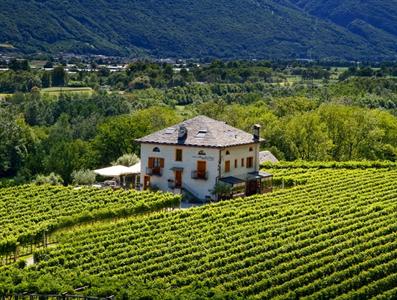 Fattoria l'Amorosa Hotel Gudo