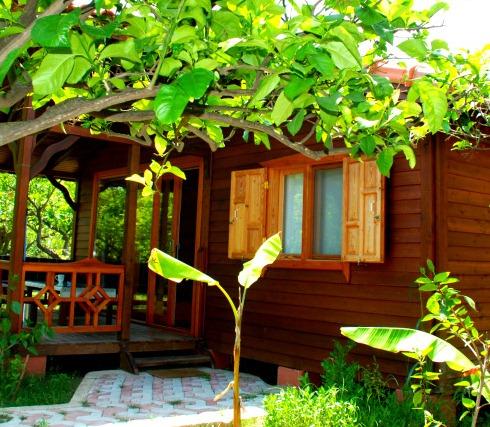 Baraka House