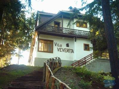Vila Veverita