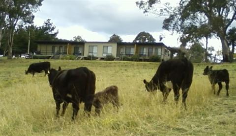 Bumblebrook Farm Motel