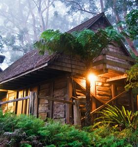 Binna Burra Mountain Lodge Beechmont