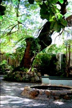 Valley Verandas Friendly Backpackers