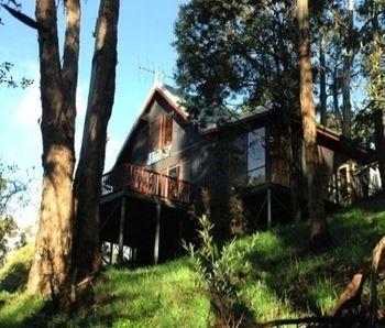 Tree Tops Cascades Cottages