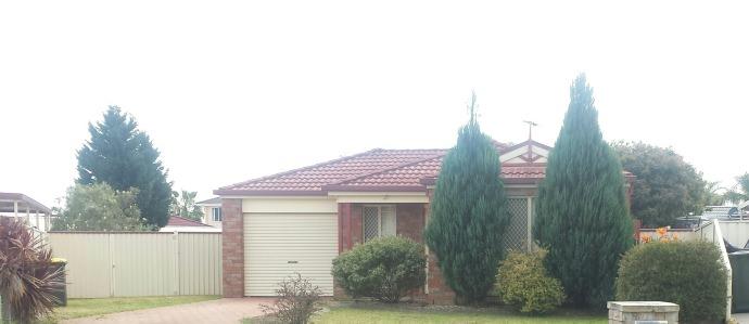 Homestay in Thornleigh near Parkway Plaza Shopping Centre