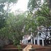 Shiva Resort