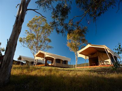 Spicers Canopy Safari