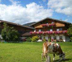 Bauernhof Tischlerhof