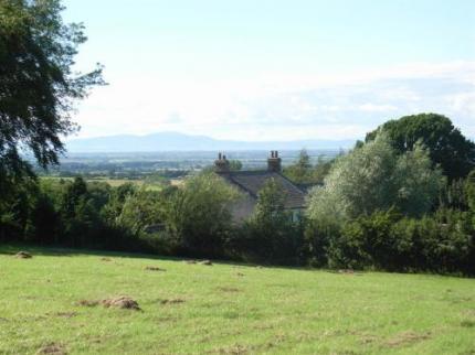 Wallace Lane Farm B&B