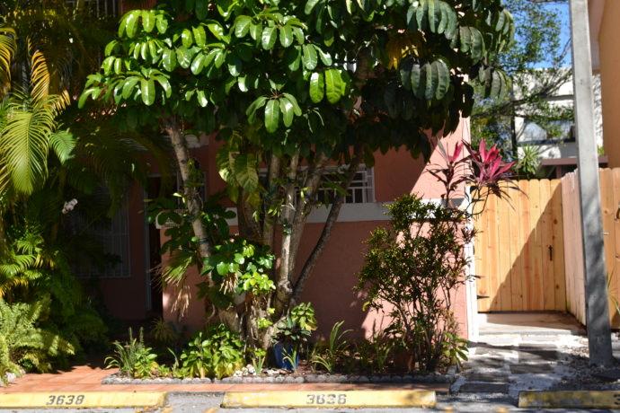 Homestay in Coral Gables near Miracle Mile