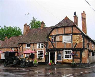 The Plume of Feathers