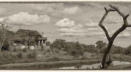 Royal Madikwe Game Lodge