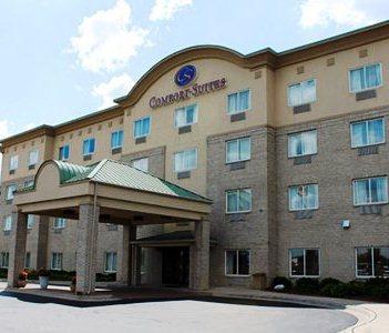 Comfort Suites Wixom