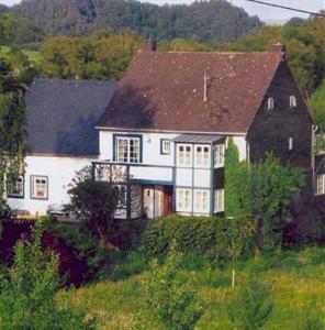 Historische Schlossmuhle Hotel Horbruch