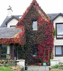 Achnabobane Farmhouse