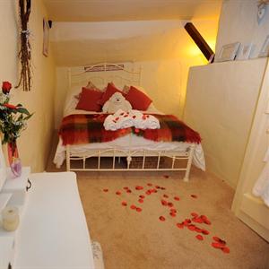 Secret Little Owl Cottage South Molton