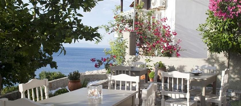 Hotel Cattleya