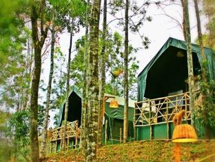 Season7 The Nature Resort