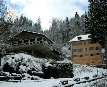 Hotel Restaurant de la Source Consolation-Maisonnettes