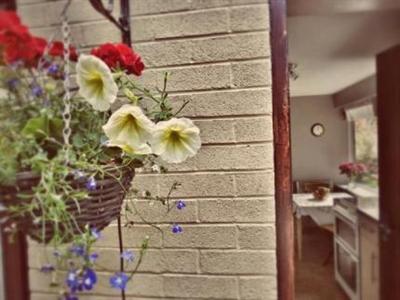 Blue Sky Self-Catering