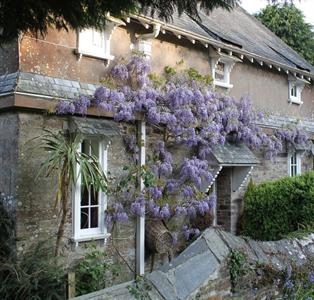 Cornish Cottage