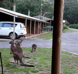 Halls Gap Log Cabins