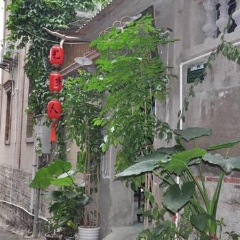 Gulangyu Islet Art Rural Painting Inn - Xiamen