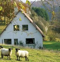 Chambre d'Hotes les Champarts