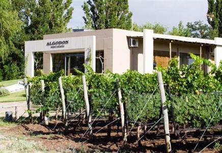 Algodon Wine Estates & Champions Club