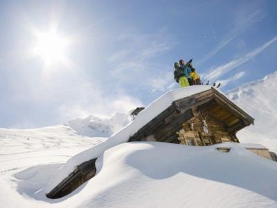 Alm-Appartement-Inneralpbach