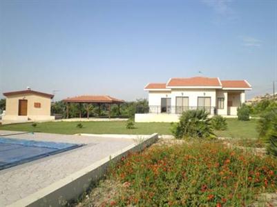 Palm Trees Villa