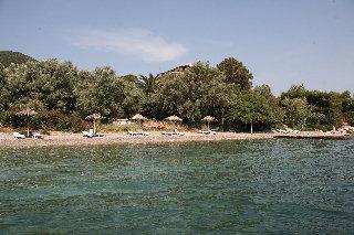 Alexandros B