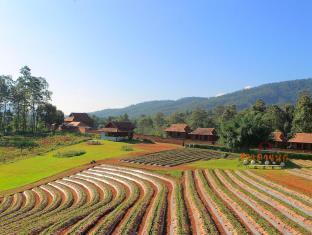 Doi Nok Strawberry Resort