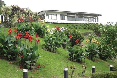 Arenal Vista Lodge Cano Negro