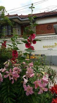 Birdsnest Hostel Hongdae