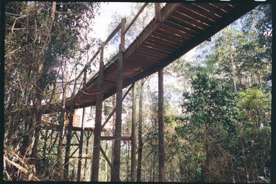 Lyola Pavilions in the Forest