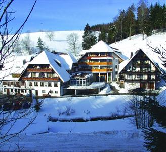 Silencehotel Adler Hotel Wolfach